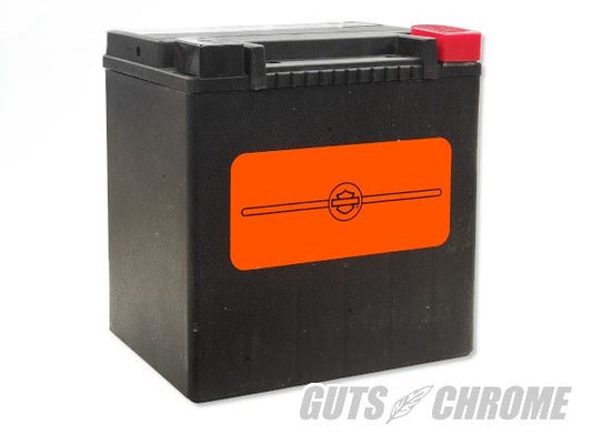 Harley_Genuine ハーレー純正バッテリー OEM 66010-97C/66000212A 97年以降ツアラー