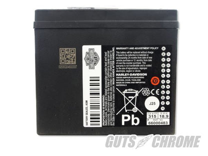 Harley_Genuine ハーレー純正バッテリー OEM 65989-97C/66000207B 97年以降XL/ダイナ/ソフテイル
