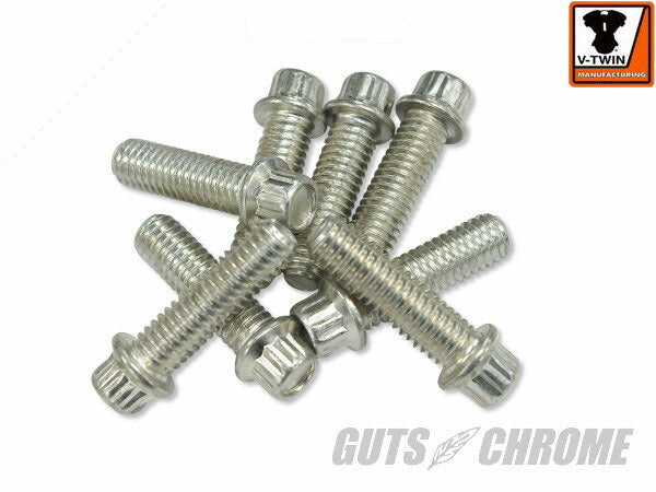 V-TWIN Tappet Block Screw Kit Cadmium 1/4-24 Big Twin