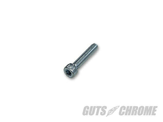 Switch Housing Screw 72-81