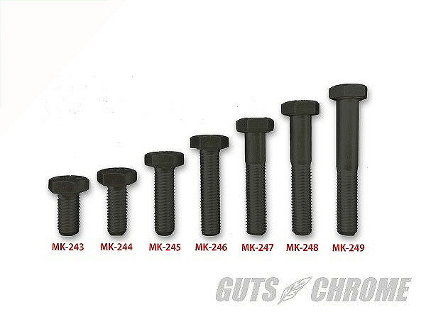 Parkerized finish inch bolt 5/16-24x2