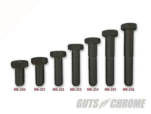 Parkered finish Inch bolt 5/16-18x5/8