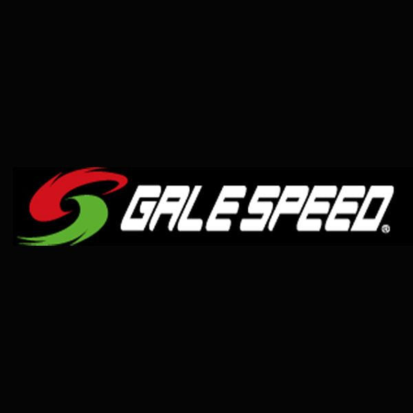 フロントホイール TYPE-GP1S Gコート ゴールド 300-17 1本入 YZF-R25 15-20/MT-25 16-19 ABS不可