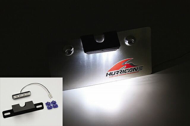 LEDライセンスランプキット 直流12V車用 高輝度白色LED5個 専用ステー付