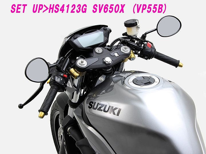 セパレートハンドル タイプ1 ブラック SV650X