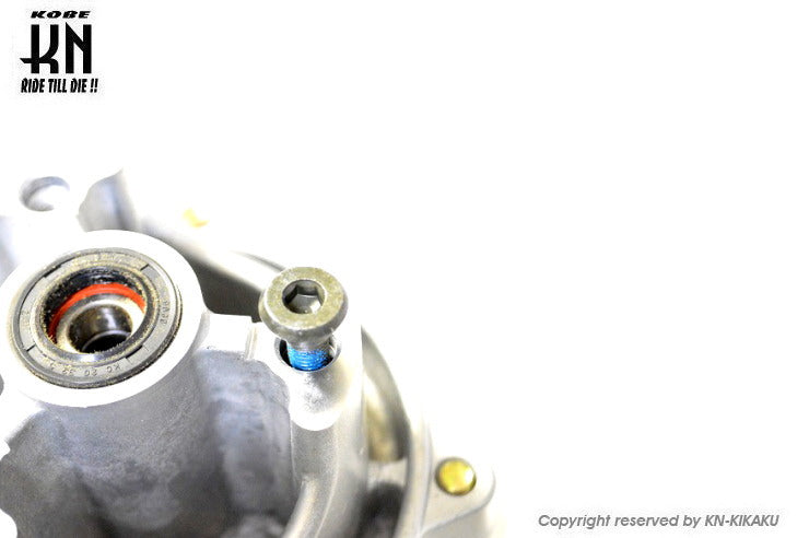 汎用ジャイロキャノピーフロントハブ専用 ディスクボルト 1個入