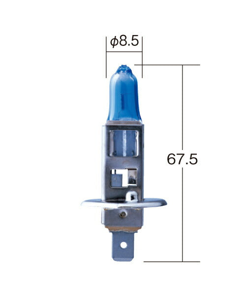 ホワイトビーム Ver3 H1 ホワイト 12V 55W T8 2個入