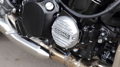 ドレスアップ パルサーカバーセット DXバージョン 墨入れタイプ バフ 1セット Z900RS/CAFE