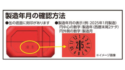 Plastic Gasoline Can YGP-10 10L W300×H304×D173mm