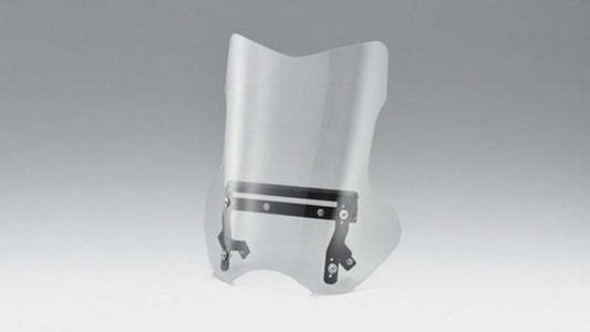 Screen ADV type Clear V-STROM250 17y-