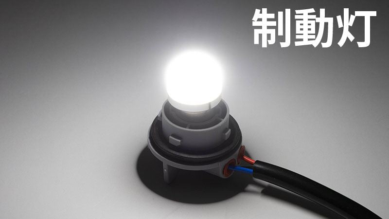 テールランプソケット ASSY スクエアテールライト用 LEDバルブ付属  スポーツスター ダイナ 他