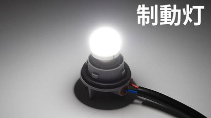 テールランプソケット ASSY スクエアテールライト用 LEDバルブ付属  スポーツスター ダイナ 他