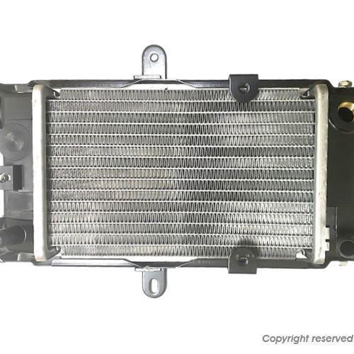 YAMAHA Genuine Radiator Majesty 125 5CA-E2460-10