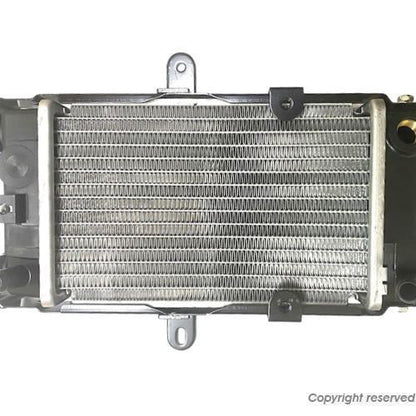 YAMAHA Genuine Radiator Majesty 125 5CA-E2460-10