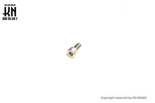 Hexagon Head Bolt Left-Hand Thread M8 / 15mm Under Head / 1.25 Pitch 1 pc Motorcycle Repair Part