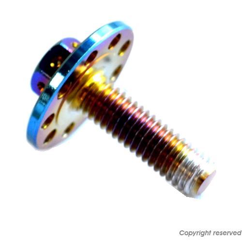 ステンレスフランジボルト ヒートチタンルック M6*20 汎用