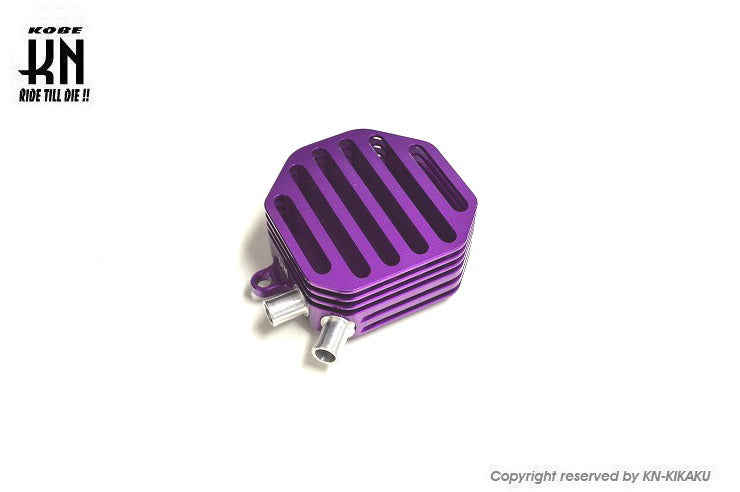 Timing Gear Cover Type 2 Purple Cygnus X BW'S