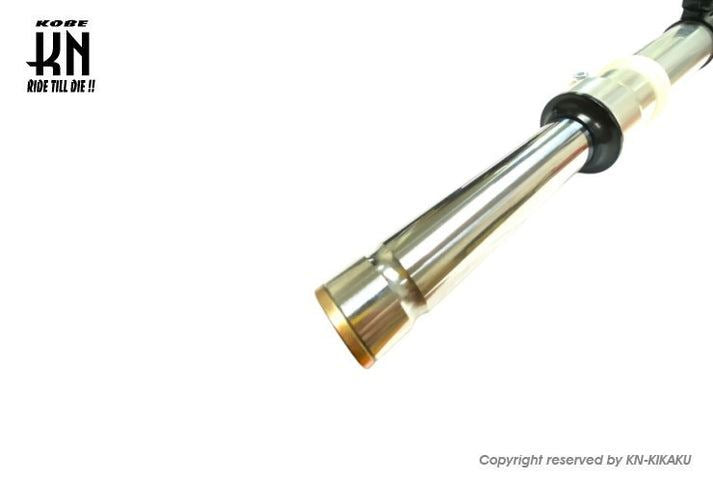 Lowered Front Forks Black/Silver