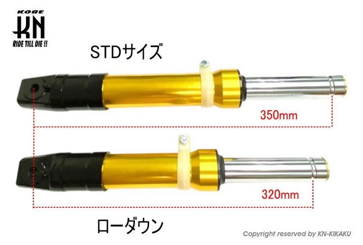 Lowered Front Forks Black/Silver