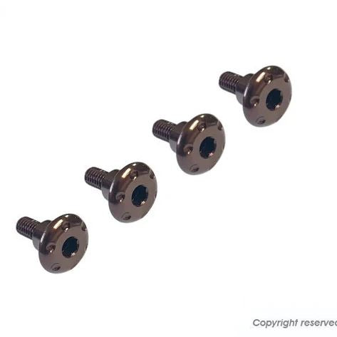 アルミフェンダーボルトセット ブロンズ シグナスグリファス