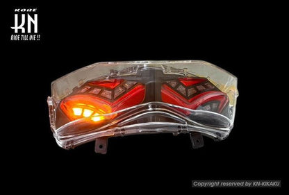 LED Tail Light Assembly, Clear Lens/Red