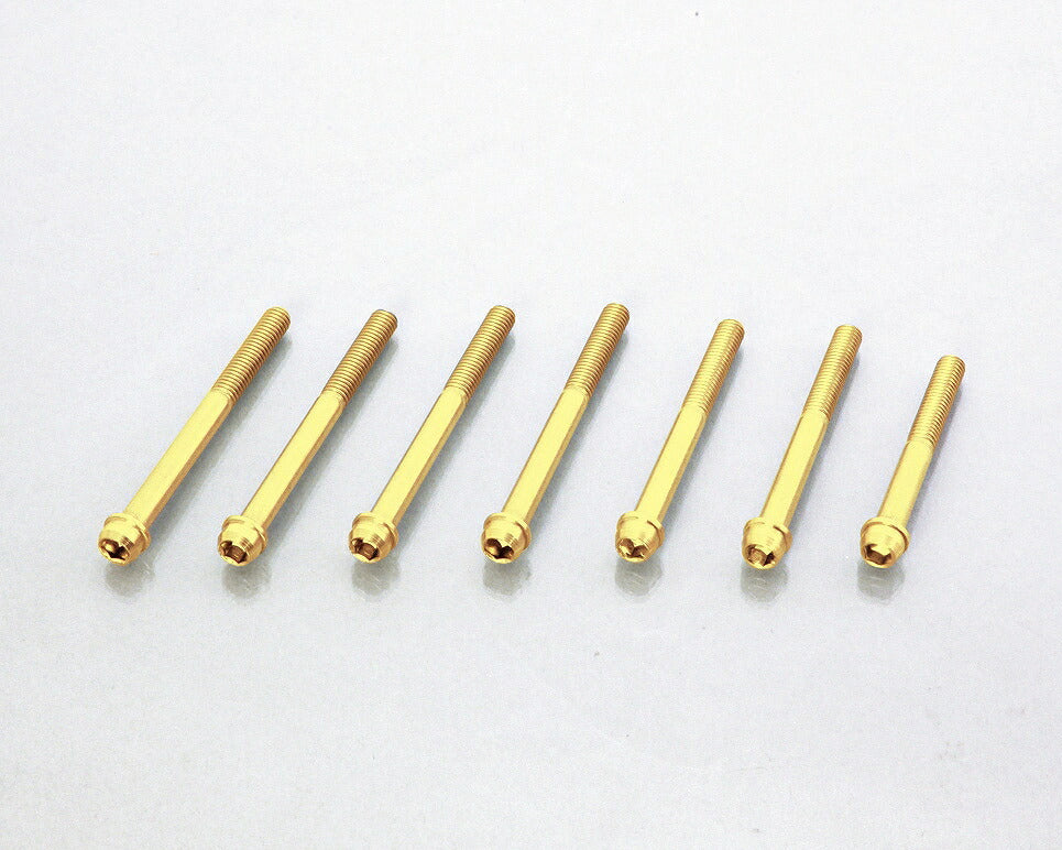 ビビッドボルトセット/24K センタークランクケース用 12Vモンキー