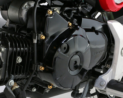 ビビッドボルトセット 24K GROM グロム Lケース