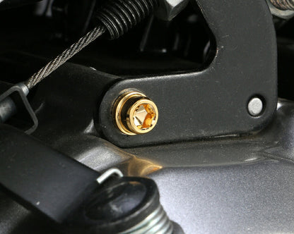 ビビッドボルトセット 24K GROM グロム Lケース