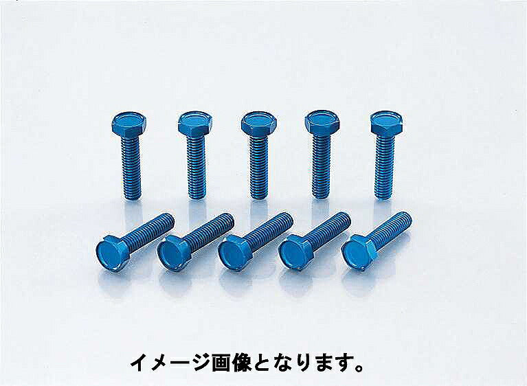 アルミボルト 6X10mm (10個)