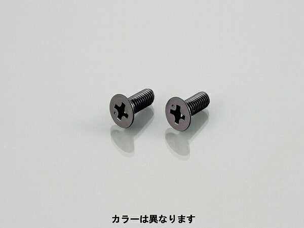 マスターシリンダーキャップビス (シルバー) 4X12XP0.7 2個