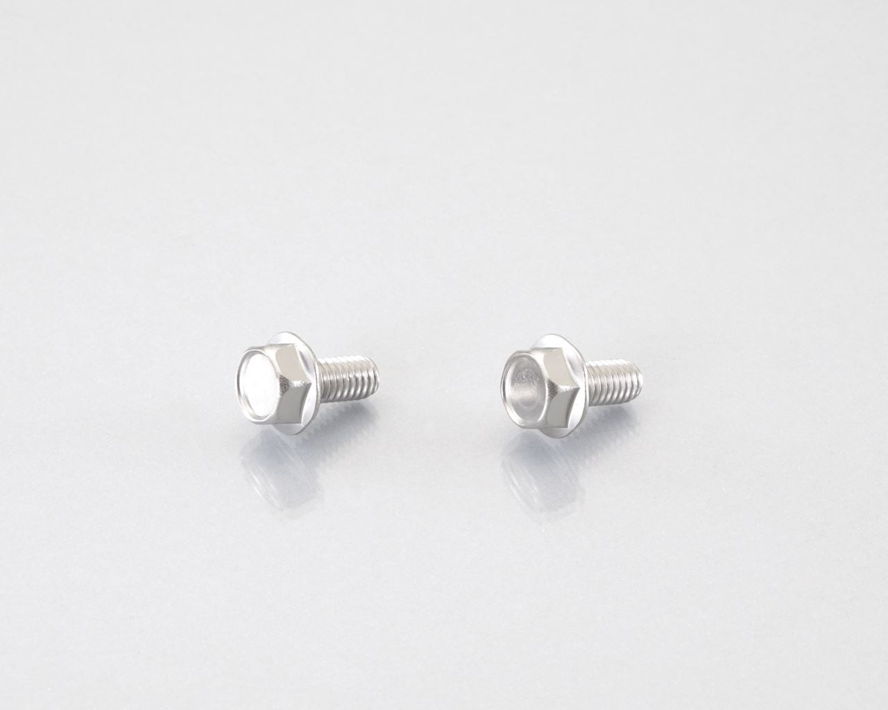 Flanged Hex Bolt SUS 6X12/2 pcs