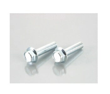 フランジ付六角ボルト (ユニクロメッキ) M8XP1.25X20mm 2個