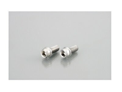 Vivid Bolt (Stainless Steel) 10x40xP1.25 1 pc.