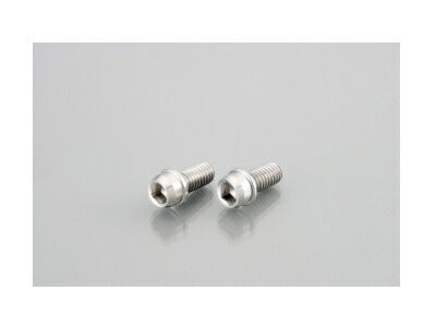 Vivid Bolt (stainless steel) 10X70XP1.25 1 piece