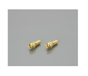 ビビットボルト (24Kコーティング) 6X12XP1.0 2個