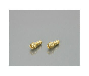 ビビットボルト(24Kコーティング)10X25XP1.25 1個