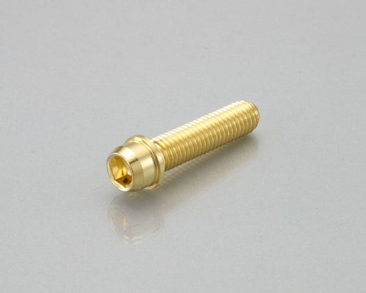 ビビットボルト 24K 10X1.5X40 1個 PRO