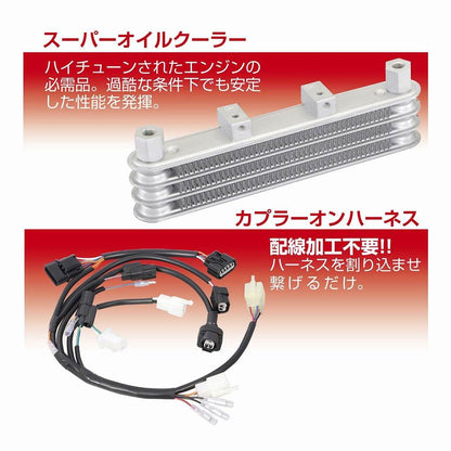 Power Pack LIGHT 181cc CT125 Hunter Cub