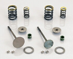 シリンダーヘッドメンテナンスキット エイプ(SE-PRO)