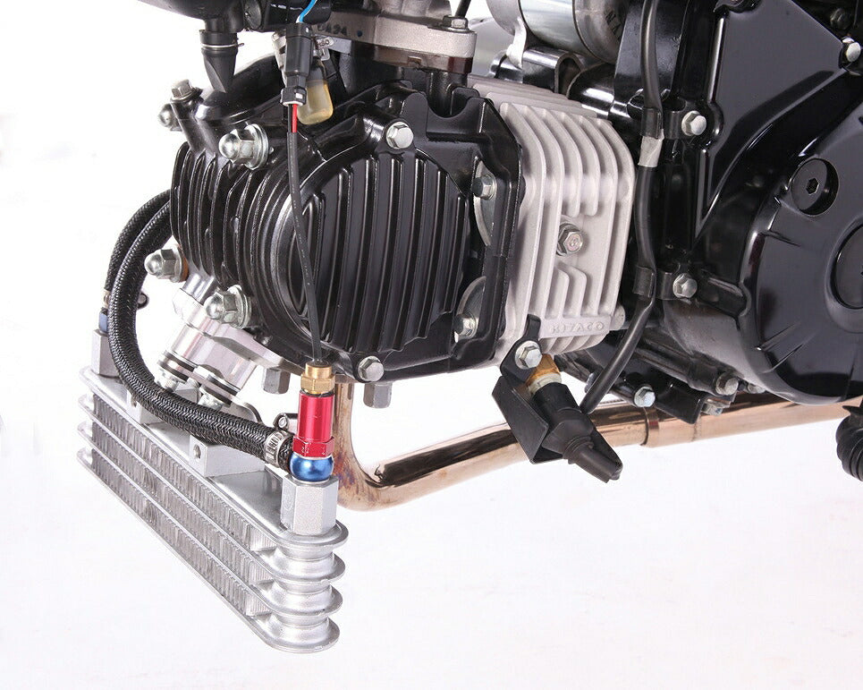 New Super Oil Cooler Kit/5 Core Monkey