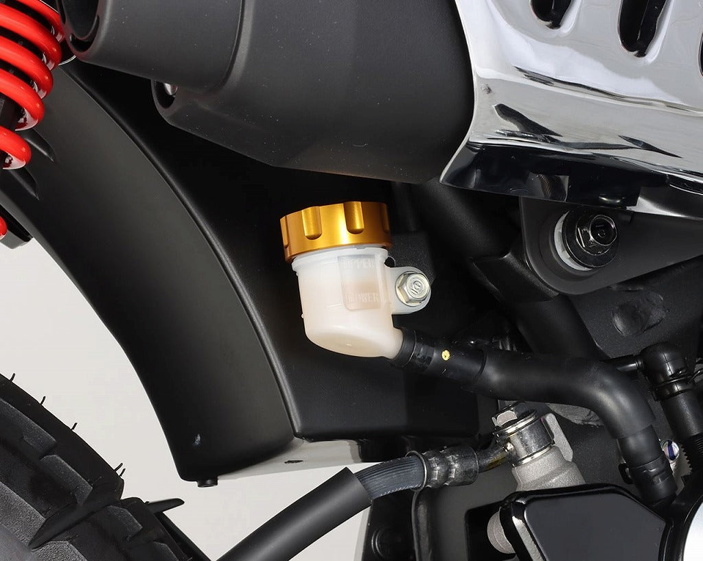 Master Cylinder Tank Cap, Gold, φ38, 1 pc., Monkey 125, Dax 125