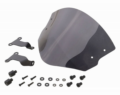 Aero Visor, Smoke, Dio 110
