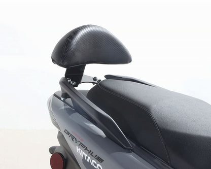 Tandem Backrest Black 310×90×100mm Cygnus Gryphus