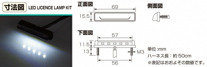 LEDライセンスランプ 汎用 12V車用