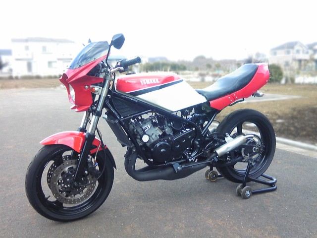 ビキニカウル レッド 高さ420×横340×奥行き220mm 汎用(180φヘッドライト車用)