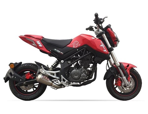 IXIL イクシル コニカル スリップオン マフラー RCS マットポリッシュ 220 mm BENELLI TNT 125