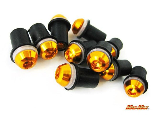 ウェルナットセット ゴールド 10個入