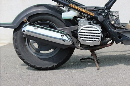 Radiator Cover Chrome Crea Scoopy Zoomer Smart Dio