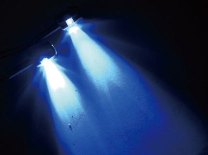 LED License Plate Bolts, Hexagonal Star, Blue, Universal (for 12V vehicles)
