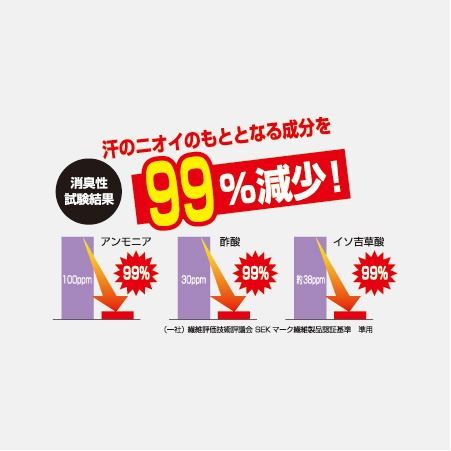 消臭乾燥剤 シューズリセット